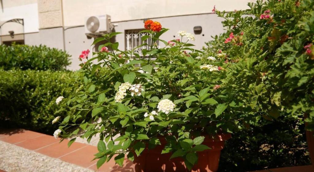 House With Garden And Parking Space In Mergellina Napoli Exterior foto